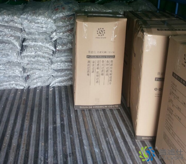 珊瑚沙与鱼池毛刷