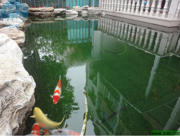 佛山鱼池设计建造案例——陈先生别墅鱼池过滤系统案例
